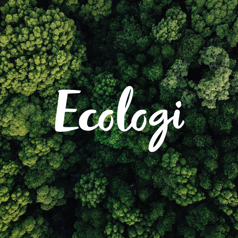 Trees with Ecologi logo, symbolizing our commitment to sustainability and climate action.